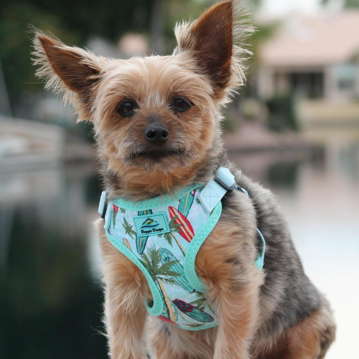 DOGGIE DESIGN Wrap and Snap Choke Free Dog Harness (Surfboards and Palms, XS)