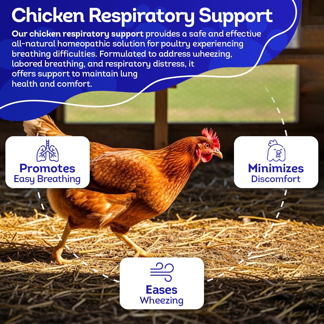 HealthyAnimals4Ever Suplemento respiratorio de pollo totalmente natural, ayuda respiratoria homeopática eficaz para pollos, 300 tabletas de apoyo respiratorio para pollos