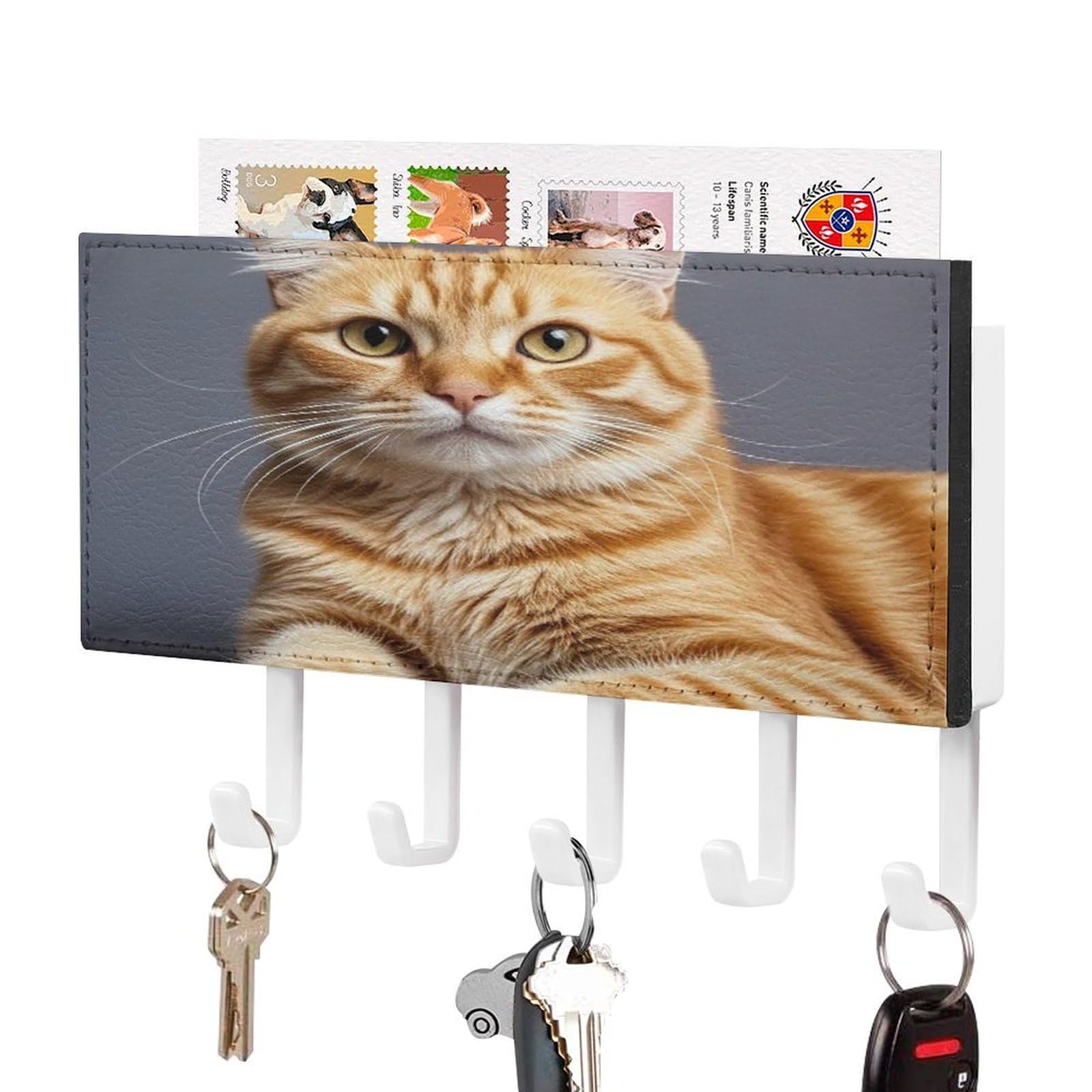FekiLoot Cat Key Holder Wall Mount Key Hanger with 5 Hooks Decorative Key Rack Hanging Key Hooks with Mail Organizer Key Holder for Wall Living Room Kitchen Bathroom Hallway White