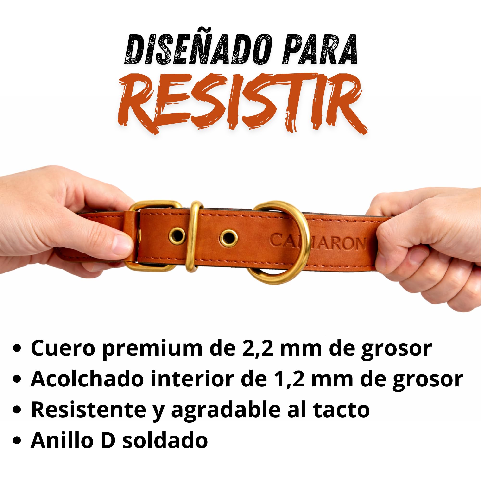 Collar para Perro de Cuero con Acolchado - Personalizable con Nombre Grabado - Hecho a Mano, Resistente y Elegante - Llavero Personalizado de Regalo (Negro, XL: Rango de Cuello 48–58 cm)