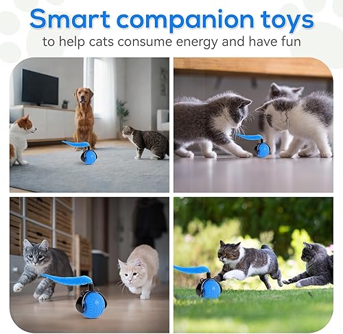 Miniatura 6 de Juguetes interactivos inteligentes para gatos para interiores, bola automática para mascotas, juguete de caza para gatitos, 3 modos estimulantes,