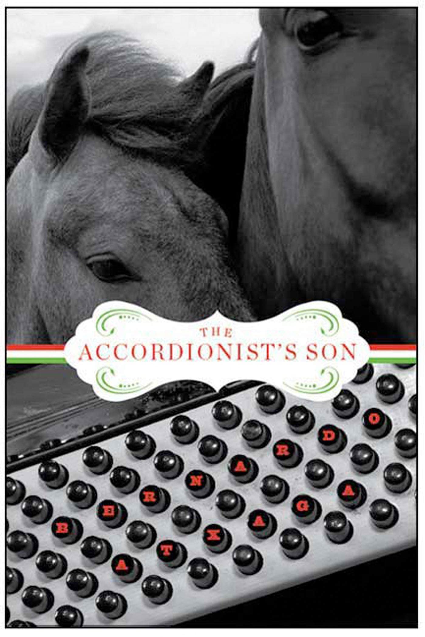 Buy The Accordionist's Son: A Novel (Lannan Translation) — BookShops.in