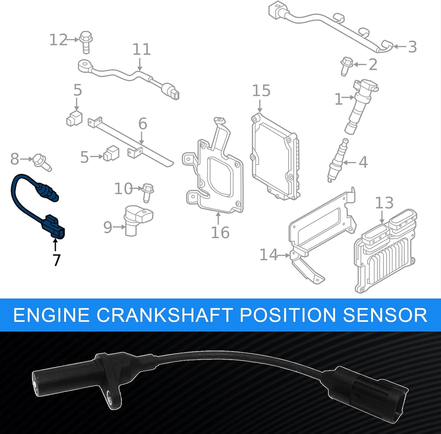 39310-3C600 Engine Crankshaft Position Sensor for Kia Cadenza for Sorento 2014-2020 Sedona 2015-2021 Hyundai Azera 2012-2017 Santa Fe 2013-2018 Replace 393103C600 393103C601 5S13482