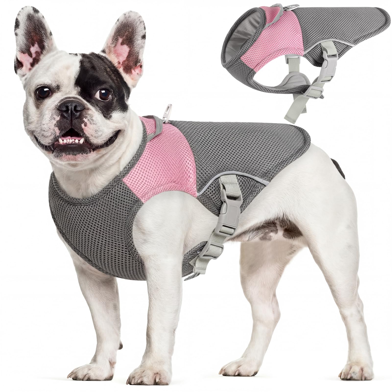 AOFITEE Dog Cooling Vest, Lightweight Cooling Jacket for Dogs, Breathable Dog Cooler Shirt with Harness D-Ring, Pet Summer Vest Hot Weather for Small Medium and Large Dogs, Pink S โ image 1
