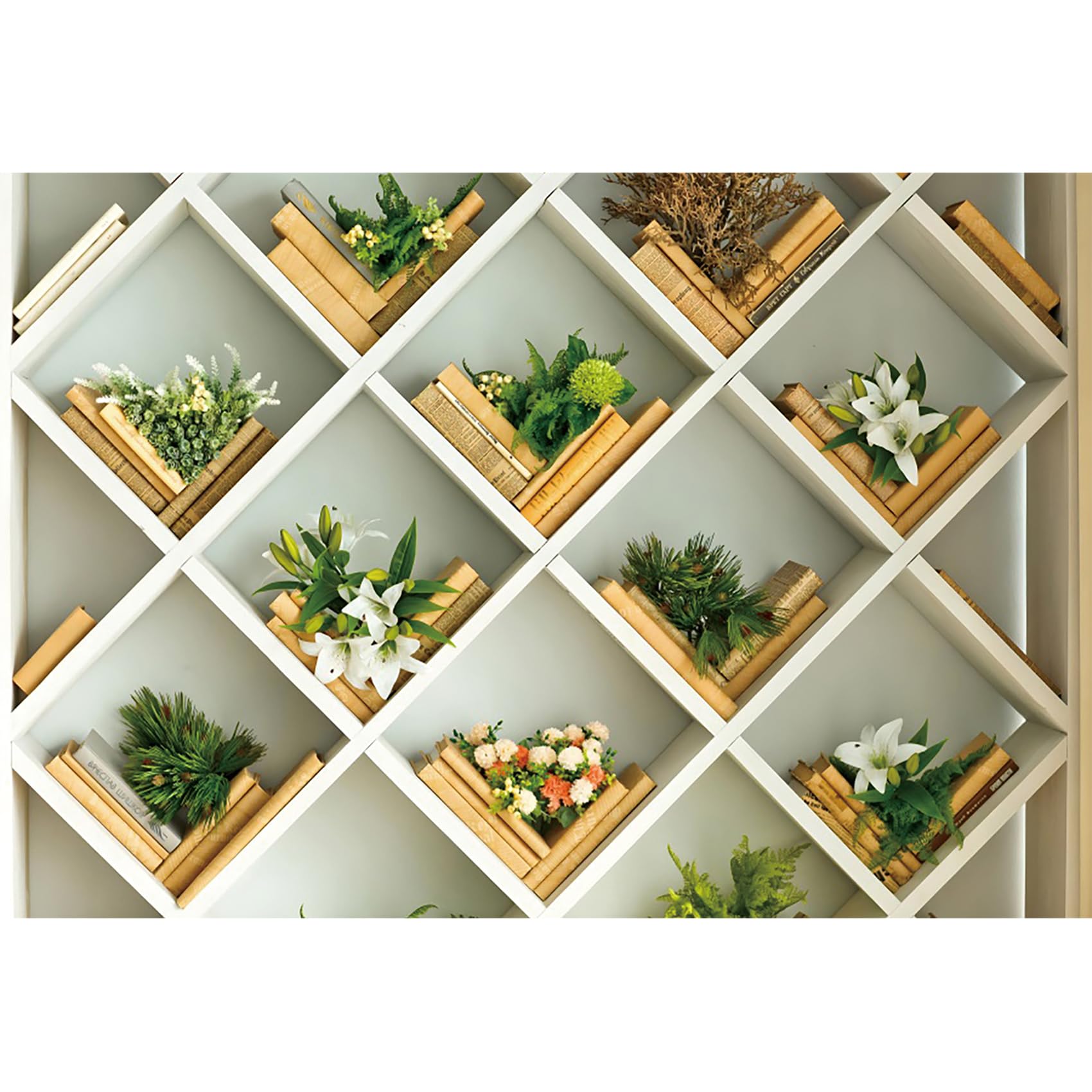 Baocicco 7x5ft Green Plants Shelf Backdrops for Photography Living Room Balcony Study Room Bookcase Photography Background Graduation Birthday Kids