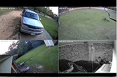 Review Image by Toryin