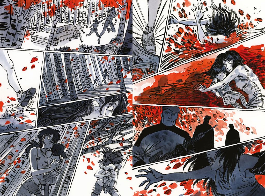El cuento de la criada (novela gráfica) (Salamandra Graphic)