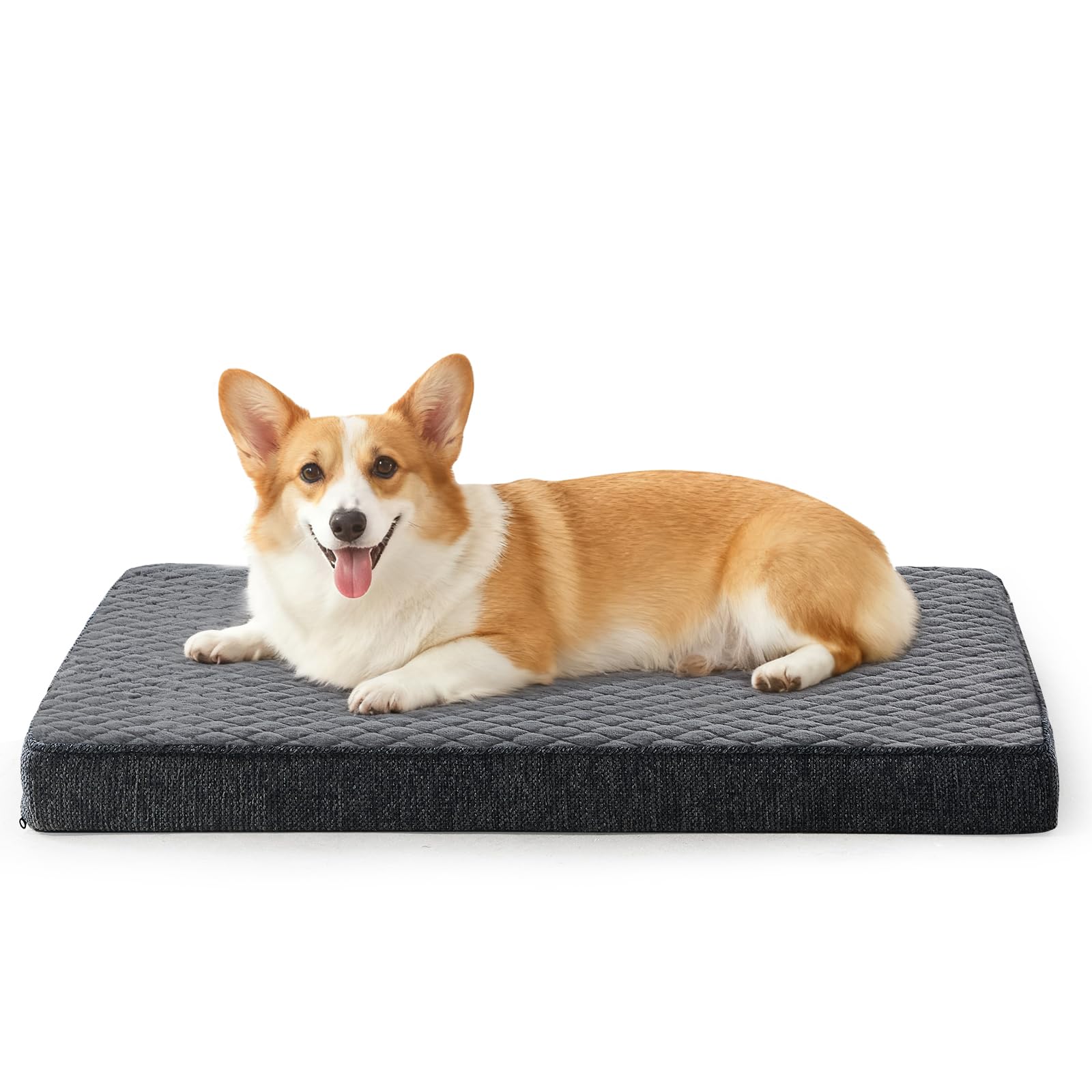 JOEJOY Cuccia Cane Interno Taglia Media, Cuccia per Cani Ortopedico, Letto per Cani Impermeabile Sfoderabile e Lavabile, Cuscino Cane, Base Antiscivolo, Grigio, 74x46x7.5cm