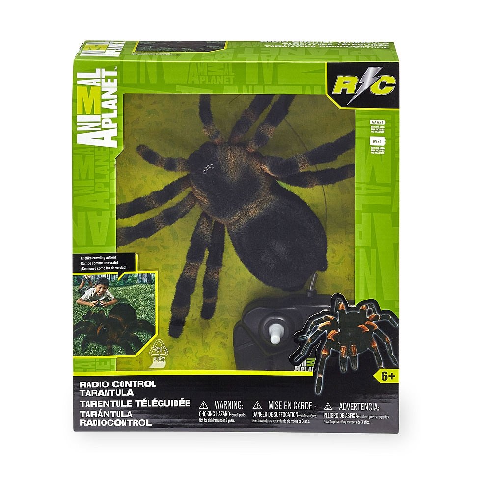 remote control tarantula amazon