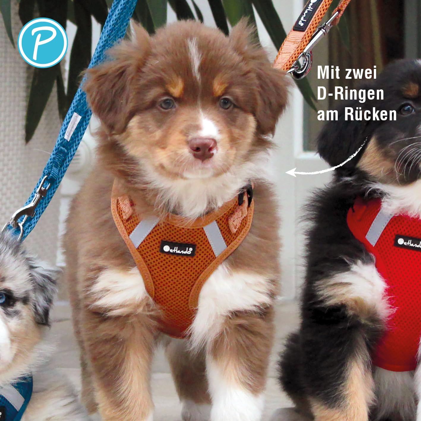 Petlando Hundegeschirr Mesh Vest, leichtes Brustgeschirr aus weichem Mesh & Nylon, stufenlos verstellbar, reflektierend mit 2 D-Ringen, Cognac XL, Geschirr Hund gepolstert