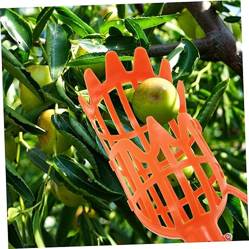 Miniatura 6 de Hemoton 2 unids Recogedor de Frutas Stick Acero Inoxidable Tuercas Recogedor de Frutas Cesta Recolector de Frutas Herramienta Recogedor de Frutas