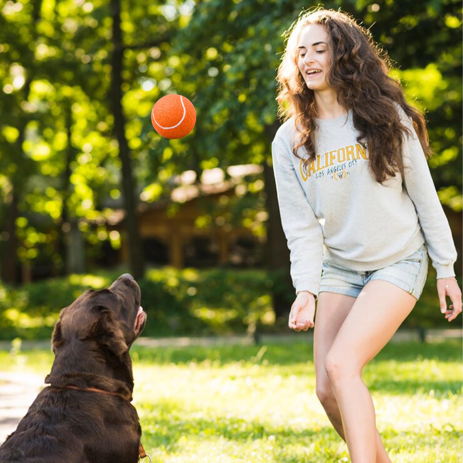 24 Stück Hunde-Tennisbälle, 6 cm, bunt, für Apportieren und Training | Farbiges Ballset für Wurfspiele, interaktives Spielen und tägliche Beschäftigung mit Hunden im Garten, Park oder Zuhause