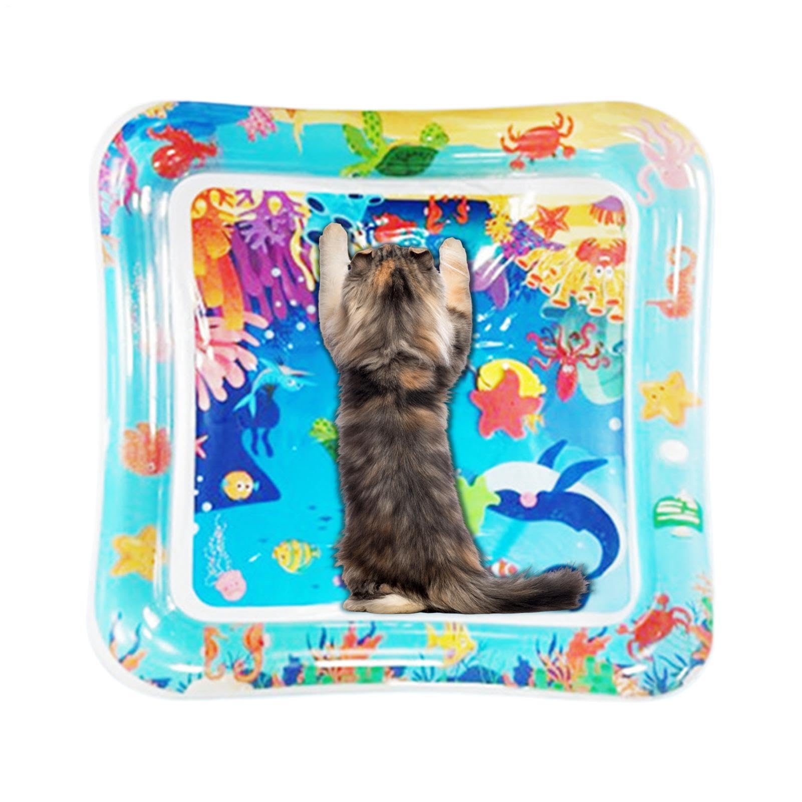 Inflatable Cat Dog Water Mat Interactive Cooling Summer Play Mat