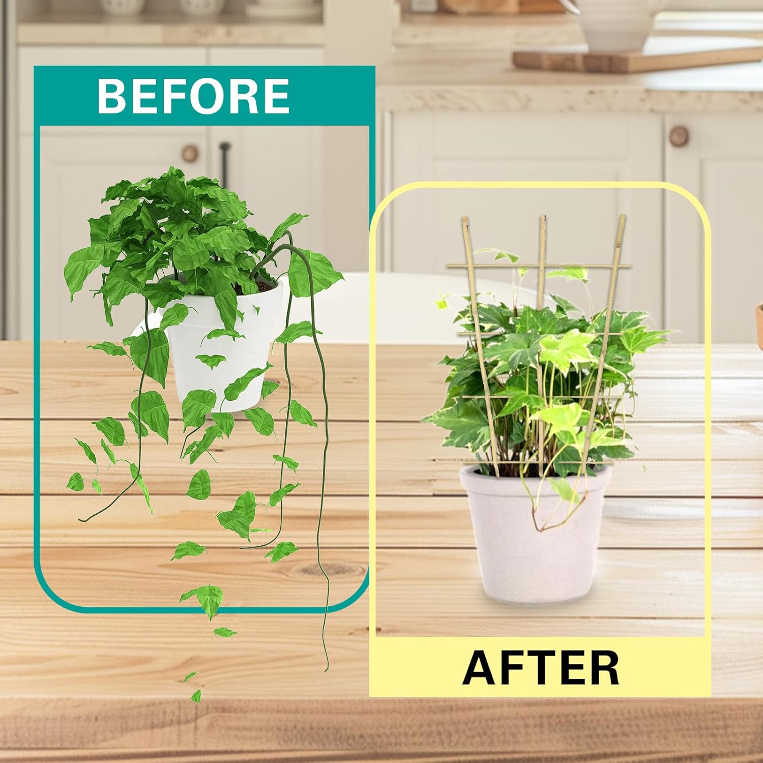 Bamboo Trellis 10 Pack, 36 Inches/3FT S3 Natural Bamboo Plant Fan Stakes, Fan-Shaped Plant Support Stand for Orchid Vines, Monarchs, Ivy and Other Plants Climbing, Help Plant Growth