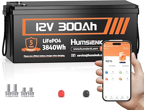 LiFePO4 - Batería Bluetooth de 12 V 300 Ah de litio integrada 100 A BMS, 15000 Ciclos Profundos Batería 3840Wh con protección a baja temperatura
