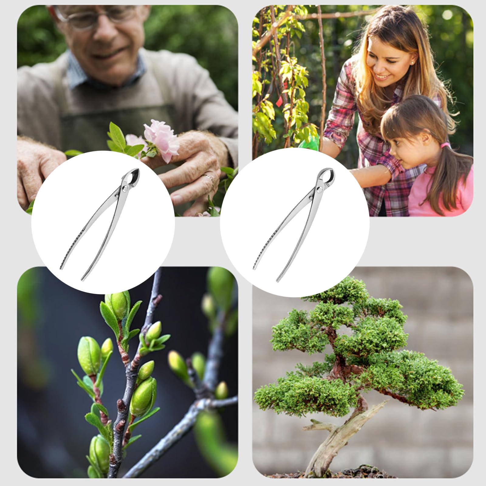 1 Satz / 2 Stück Stahl Bonsai Schnittwerkzeuge mit Knopfschneider, Astzange für Gartenpflanzen, präzises Trimmen, Gartenarbeit, Gartenschere
