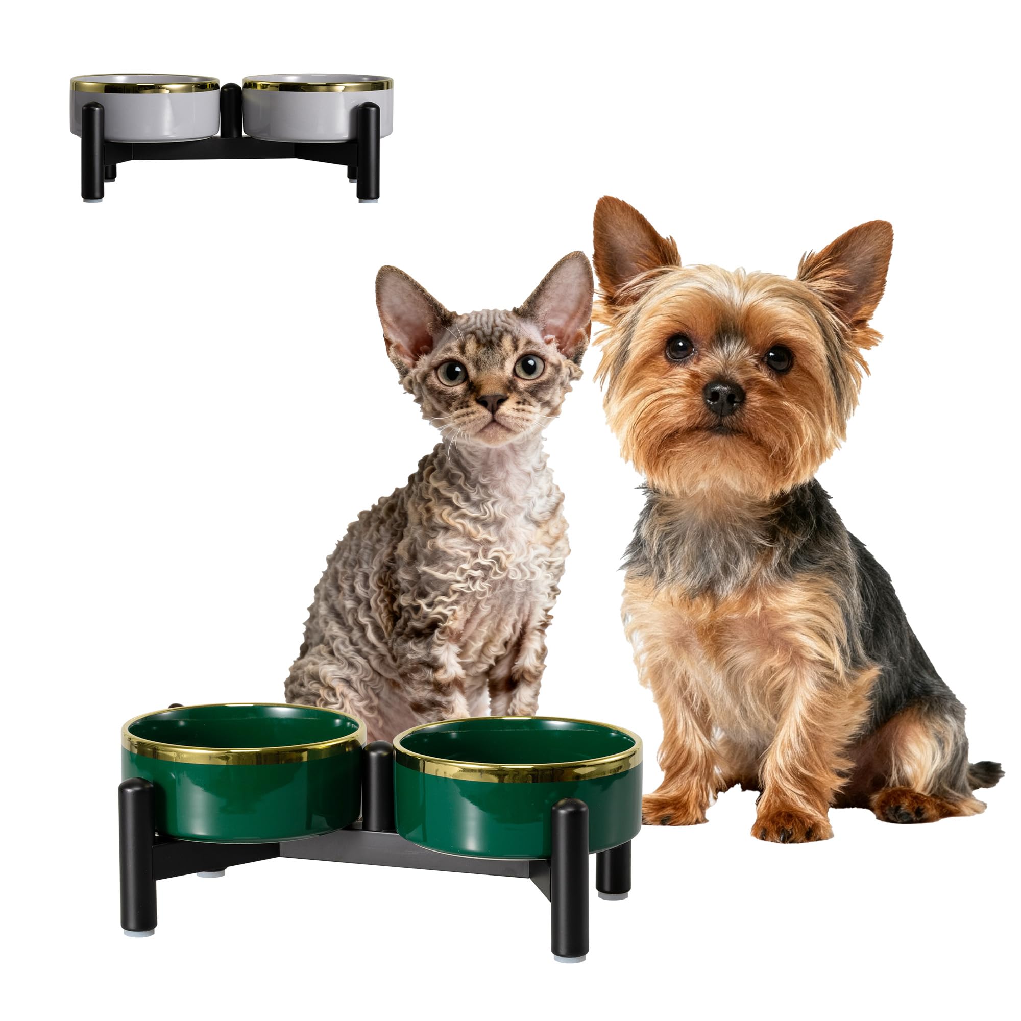 Ciotole Rialzate per Cani in Ceramica - Ciotola Doppia con Supporto in Acciaio Inox per Cibo e Acqua - Scodelle per Gatti e Cani di Piccola Taglia - 300 ml / 160 g - Altezza 10 cm - Verde