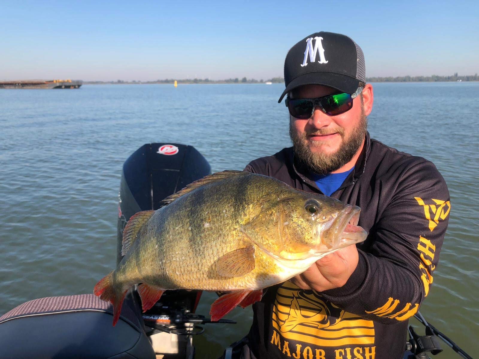 Zander Tactical Box 36 pièces poisson en caoutchouc avec têtes plombées + accessoires pour poissons prédateurs