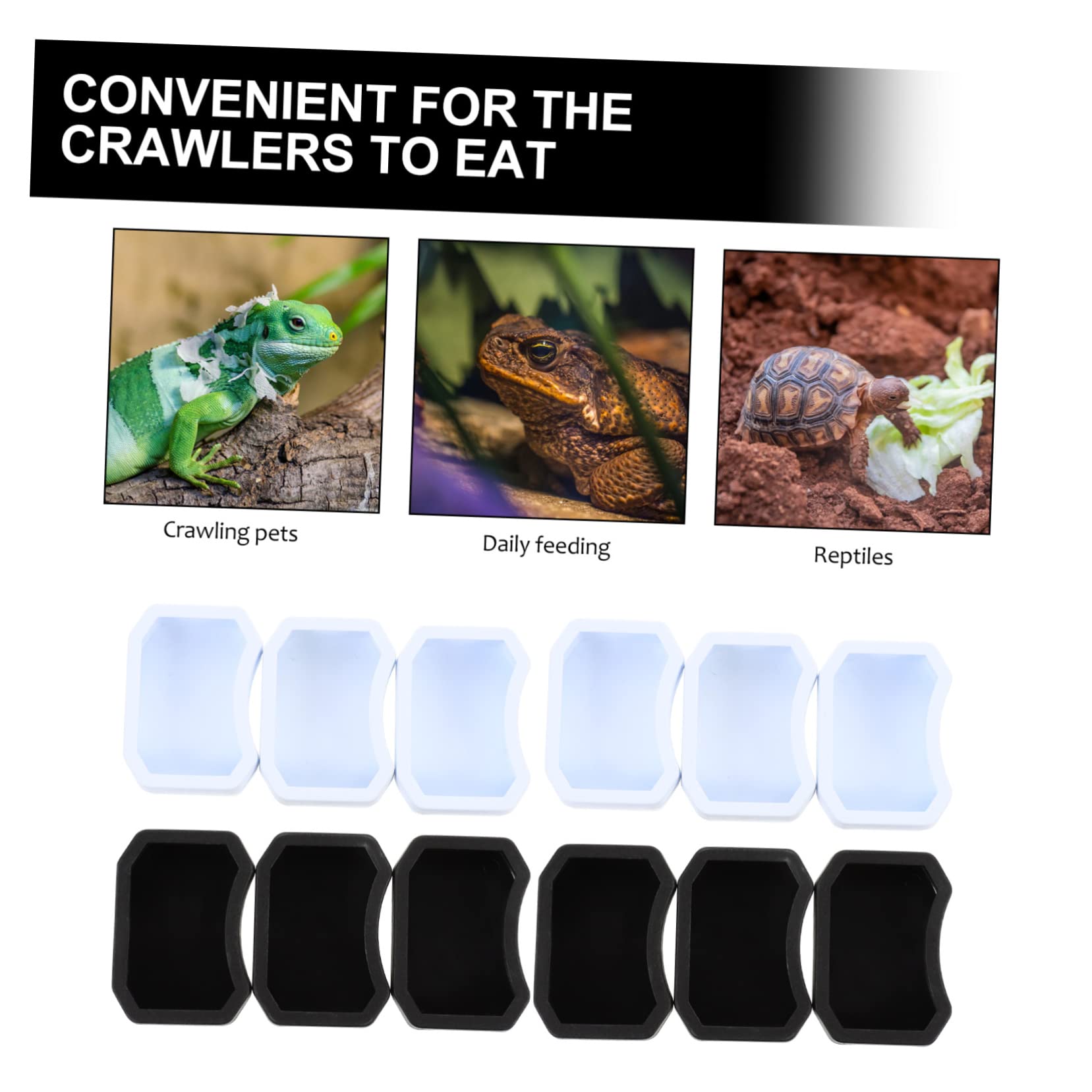 BESPORTBLE 40 Piezas Tazón De Comida para Mascotas Trepadoras Dispensador De Comida Lagarto Plato De Agua De Reptil Contenedor De Comida para Mascotas Comedero para Rana El Plastico