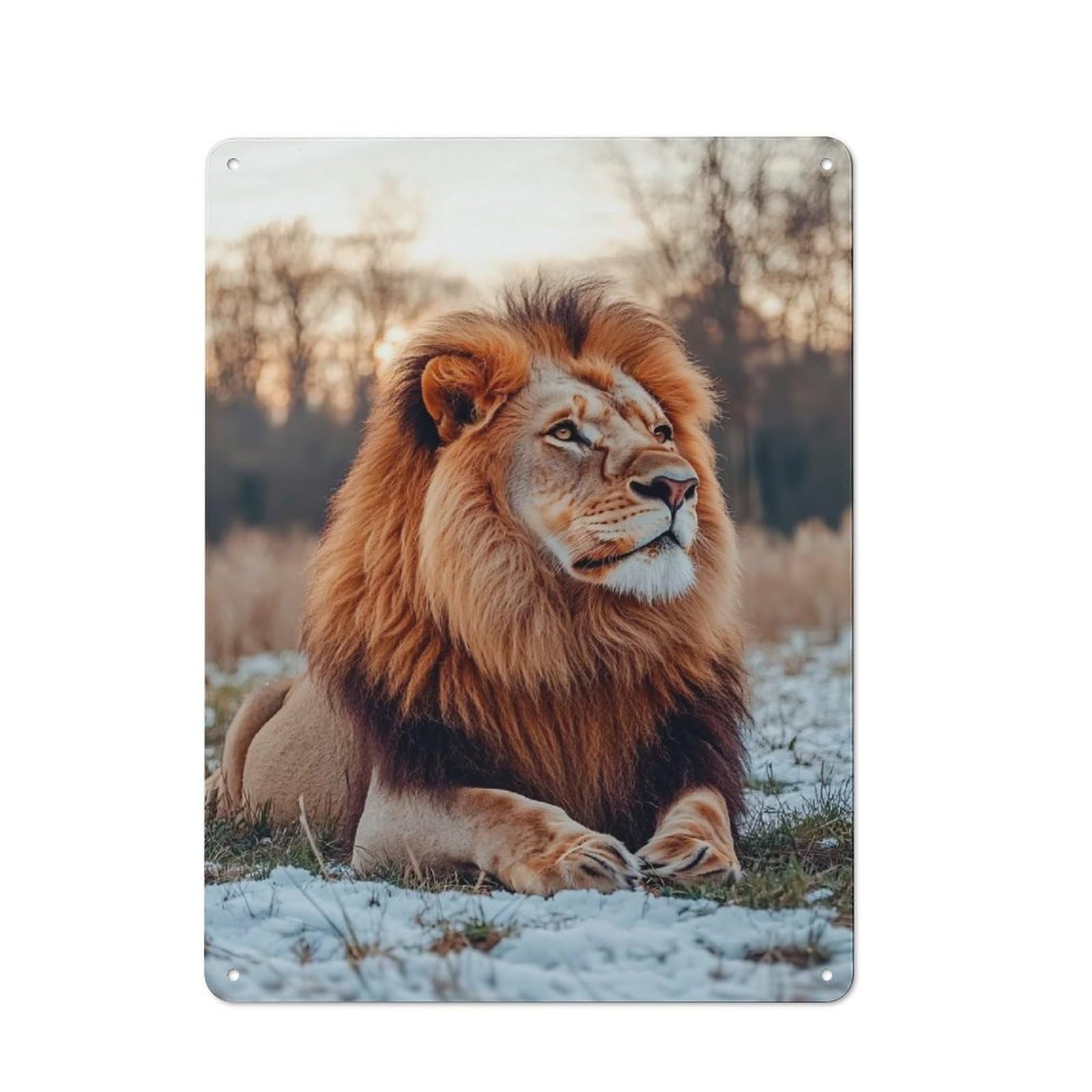 Junmoney Style-21 Majestic Lion Portrait In Winter Printed Metal Sign 40X30cm For Lounge Or Reading Corner, A Winter Wall Decor Update For Reading Corner Decorators
