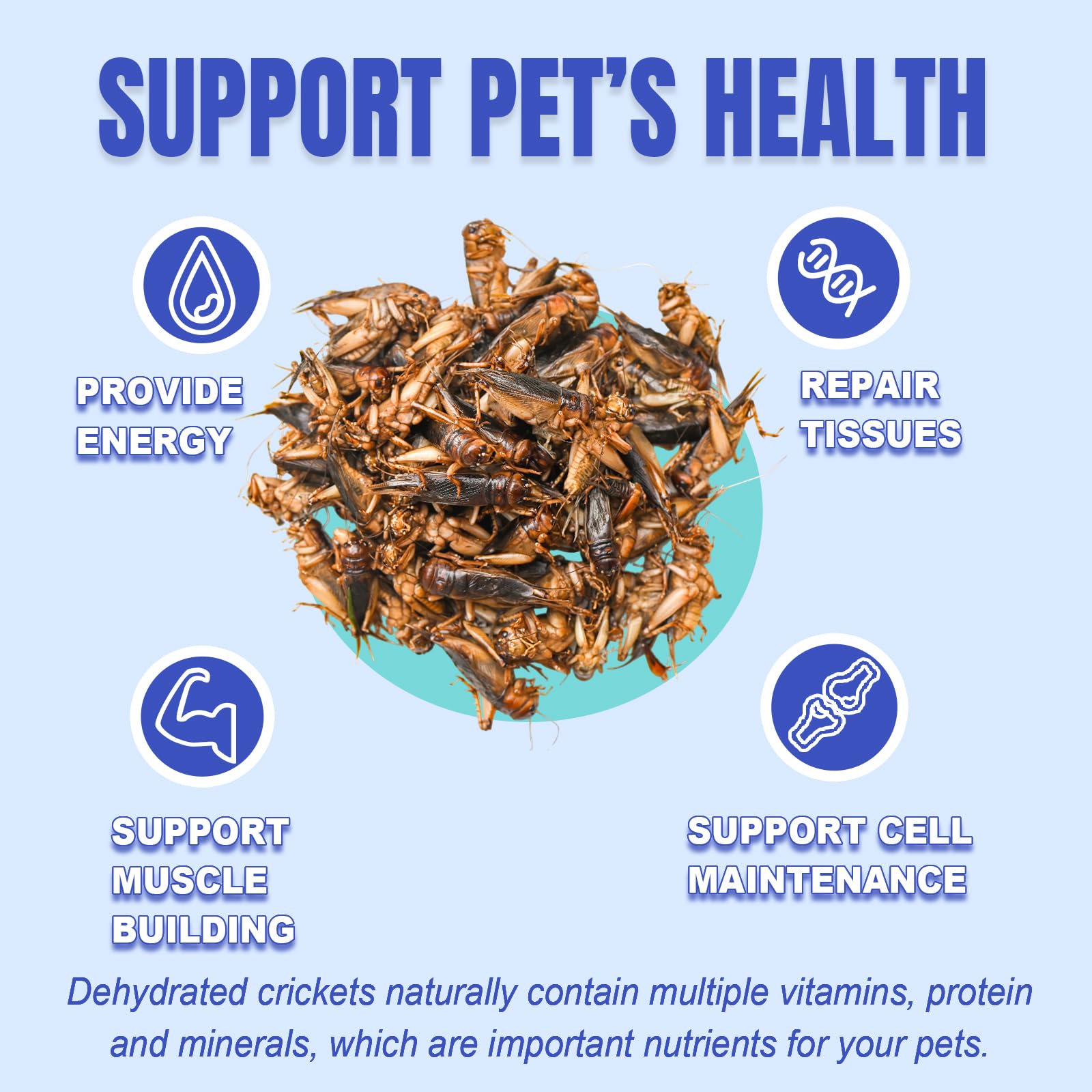 Amzey Appetizing Mealworms Natural Dried Crickets - Food for Bearded Dragons, Wild Birds, Chickens, Fish - (8 oz Resealable Bag) - Veterinary Certified