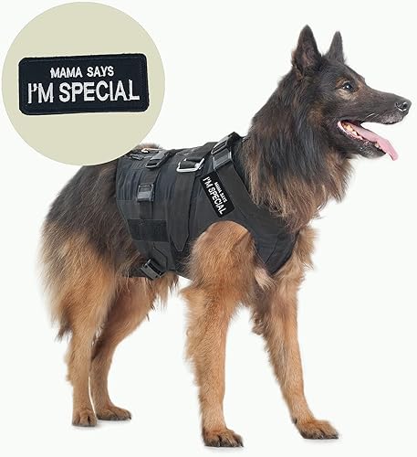 Miniatura 7 de 10 parches para perros de servicio, chaleco para perro, parches extraíbles para servicio bordado táctico de gancho arnés conjunto de parches para