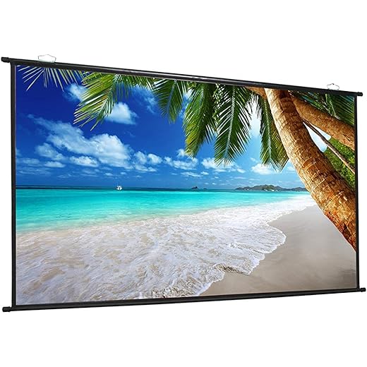 Royality Industries Projector Screen 6ft x 4ft