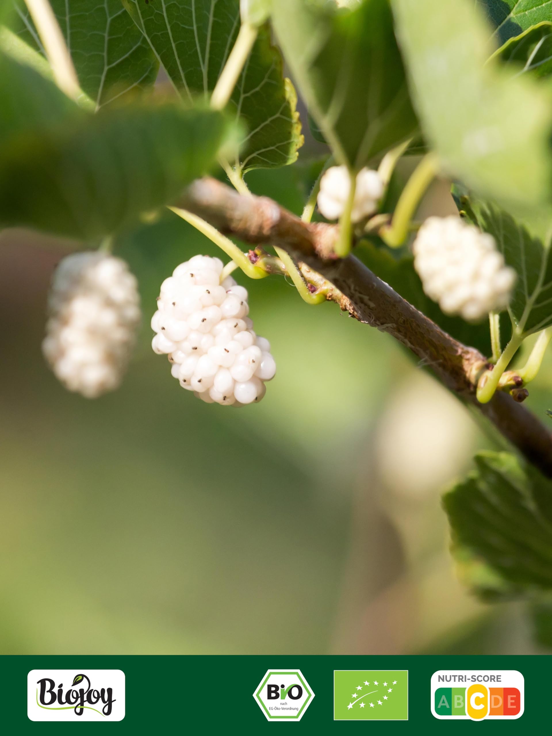 Biojoy More di Gelso bianco BIO (1 kg), essiccate, senza zucchero aggiuntо e senza zolfo