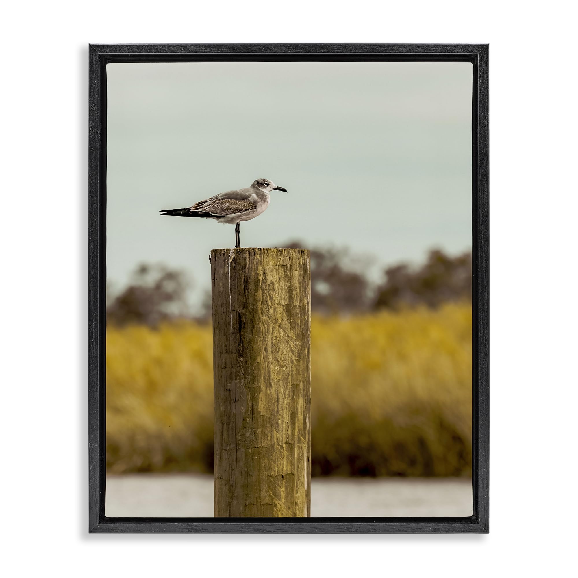 Stupell Industries Jet Black (Matte) 'Gull On Piling', Floating Frame Canvas Art, Black, 25 X 31 Inches, Easy To Hang And Sturdy, Made In Usa, By Christy Berry