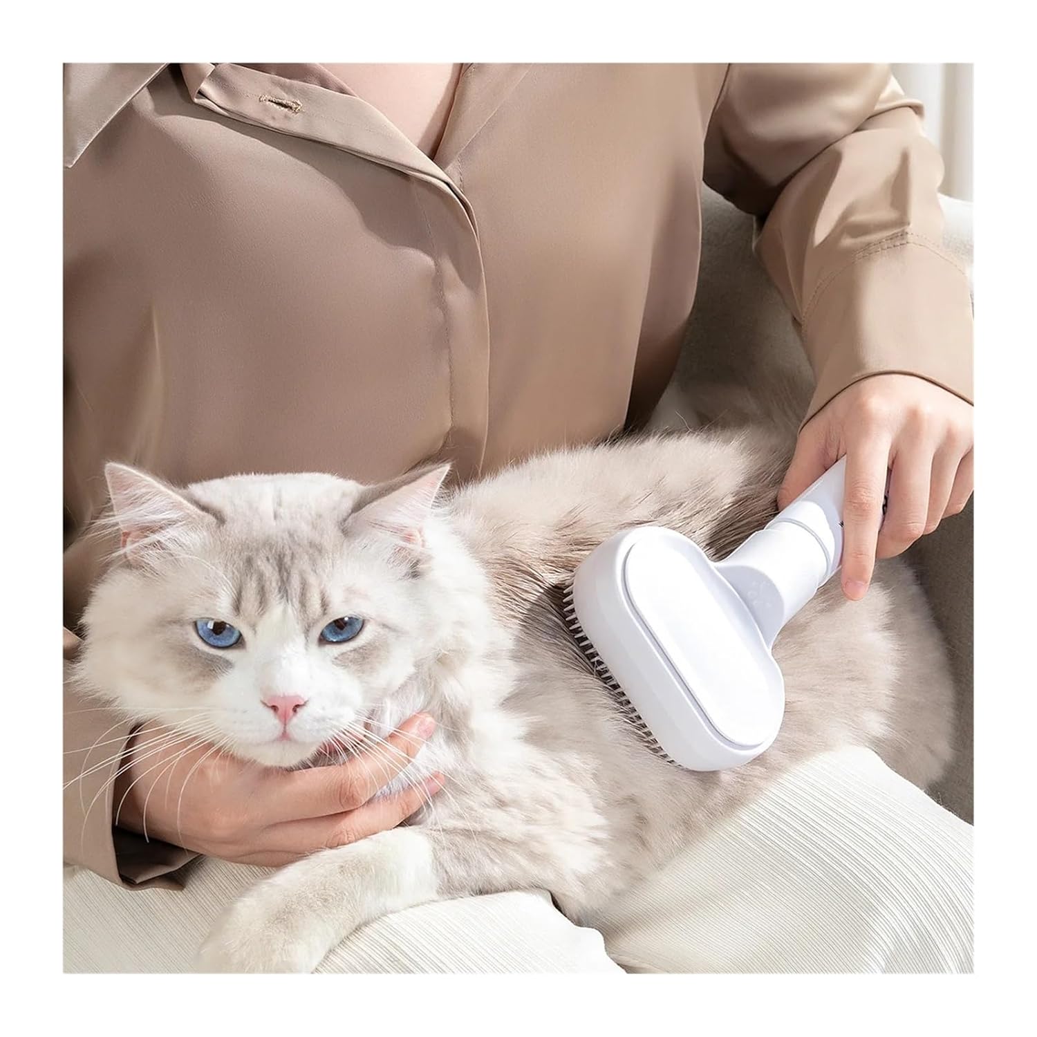 Pet Steamy Brush Pet Grooming Brush With Leave-in Foam Dry Cleaning Cat Dog Hair Special Cotton Towel Silent(Dog mousse)