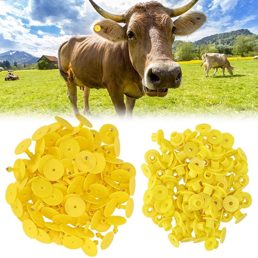 100pcs marchi auricolari di pecora giallo PU marchi auricolari identificazione bestiame etichette auricolari vuote per capra agnello bovini mucche maiali(Giallo)