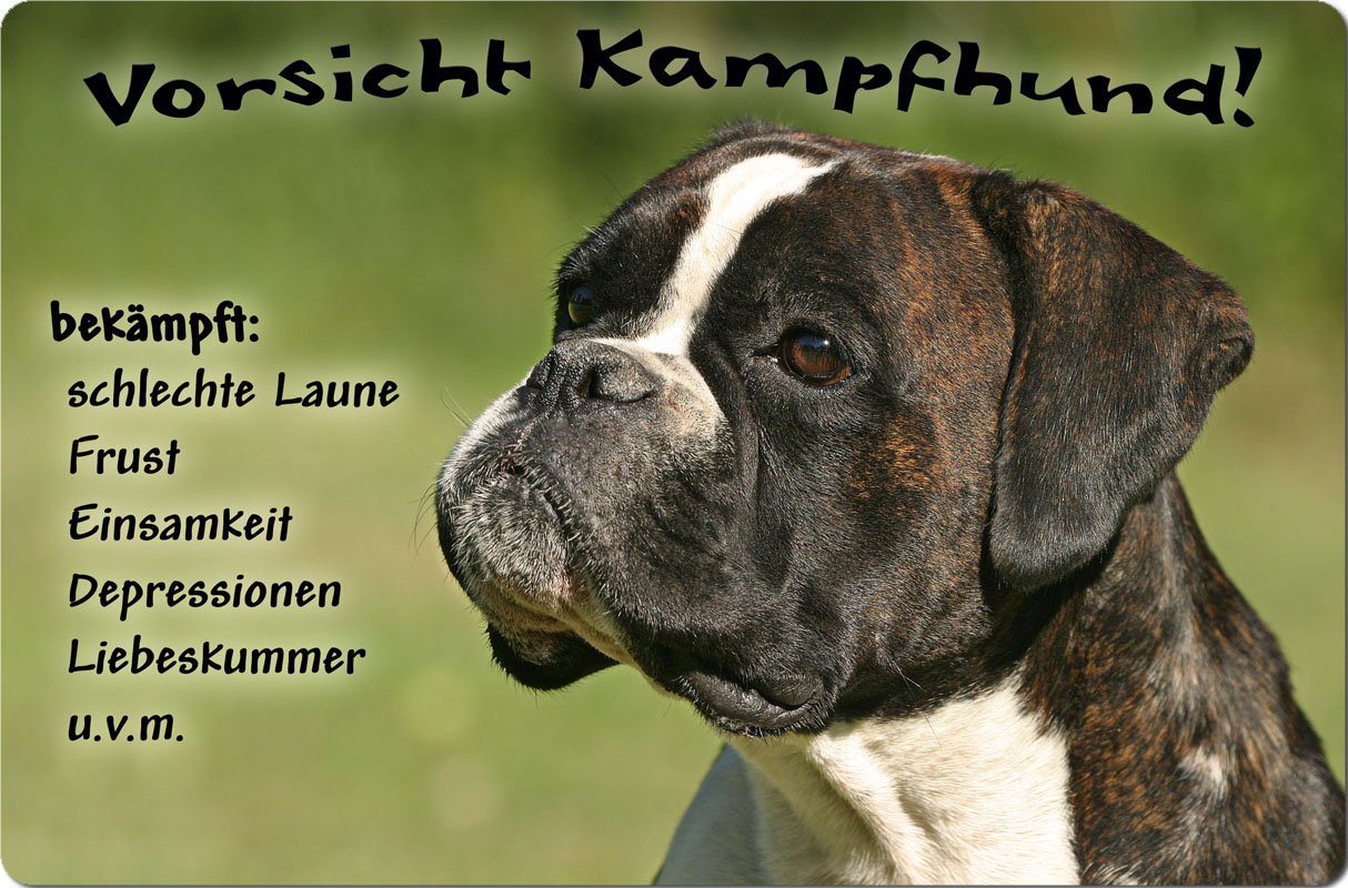 Deutscher BOXER – Metall WARNSCHILD Hundeschild, Größe 30,5 X 20 Cm (A4), Aluminium 0,5 Mm – DBX 02 T21
