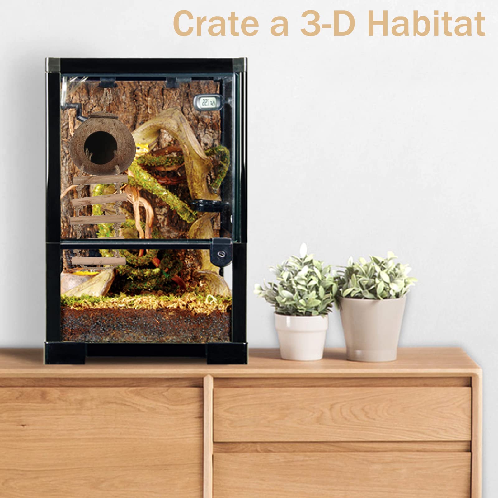 Exo Terra Crested Gecko Tank