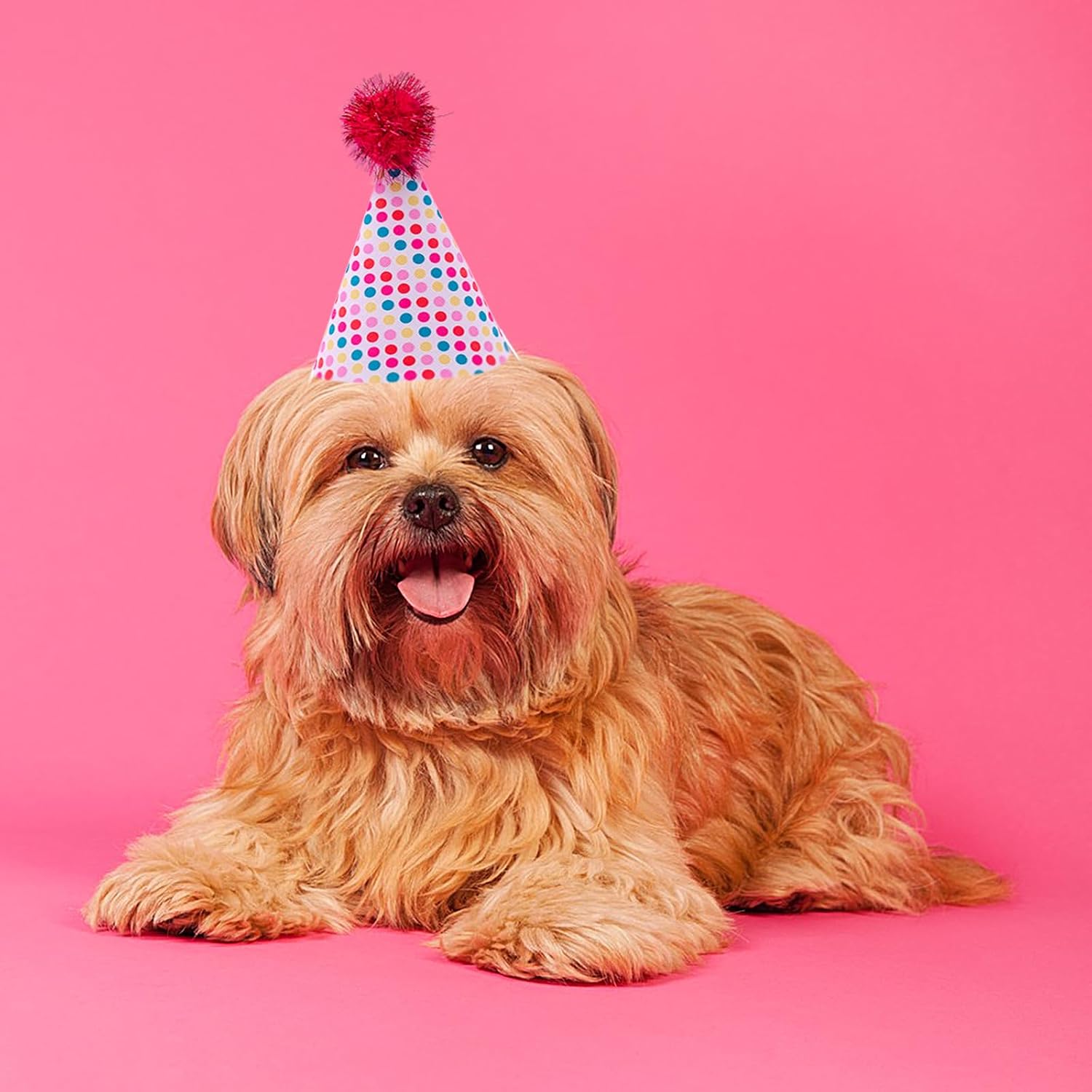 10 Pcs Party Hats for Stuffed Animals Colorful Birthday Party Hats with Pom Poms Reusable Leather Cone Hat M