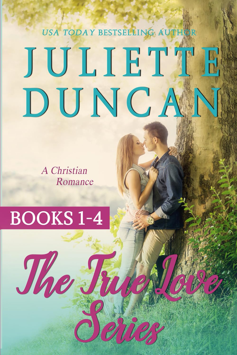 The True Love Series Books 1 - 4: A Christian Romance