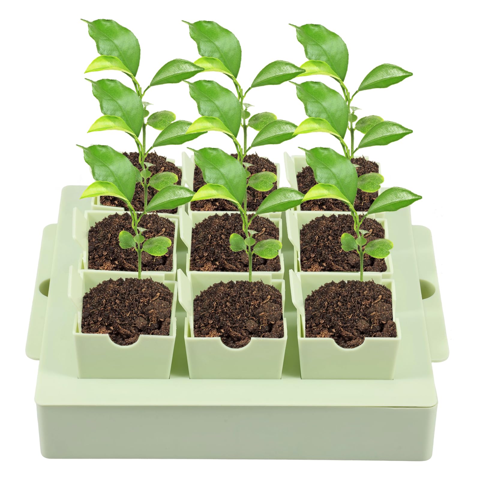 Seed Starter Tray with Handle Drainage Holes 9 Deep 2.3" Cells Germination Trays Kit Transplanting Seeds Starter Trays Nursery Growing Plants Propagation Germination for Indoor Outdoor