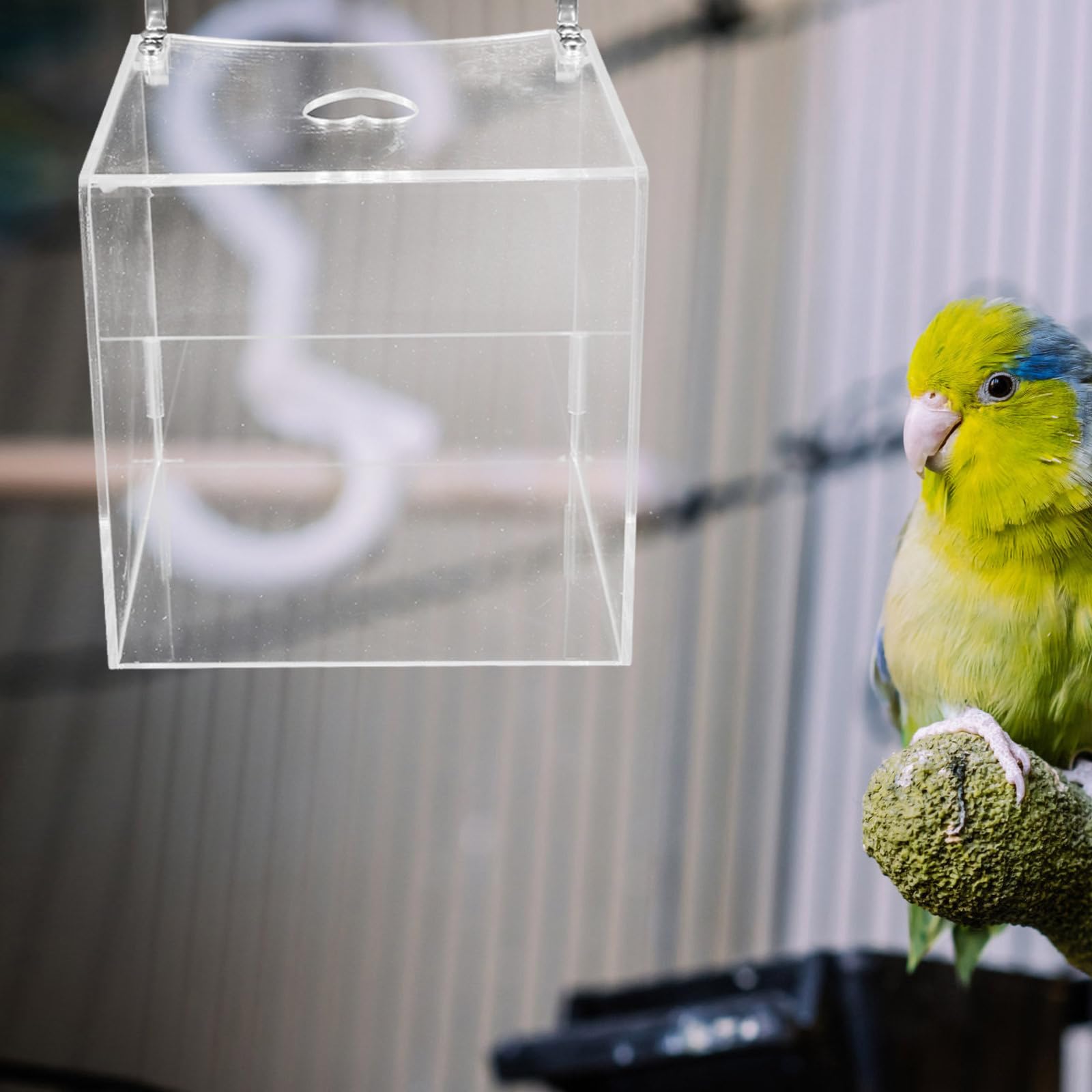 Praktisches Käfigzubehör Transparente Vogelbadewanne aus Acryl zur Hautbefeuchtung und Reinigung für Papageien und Vögel im Vogelkäfig