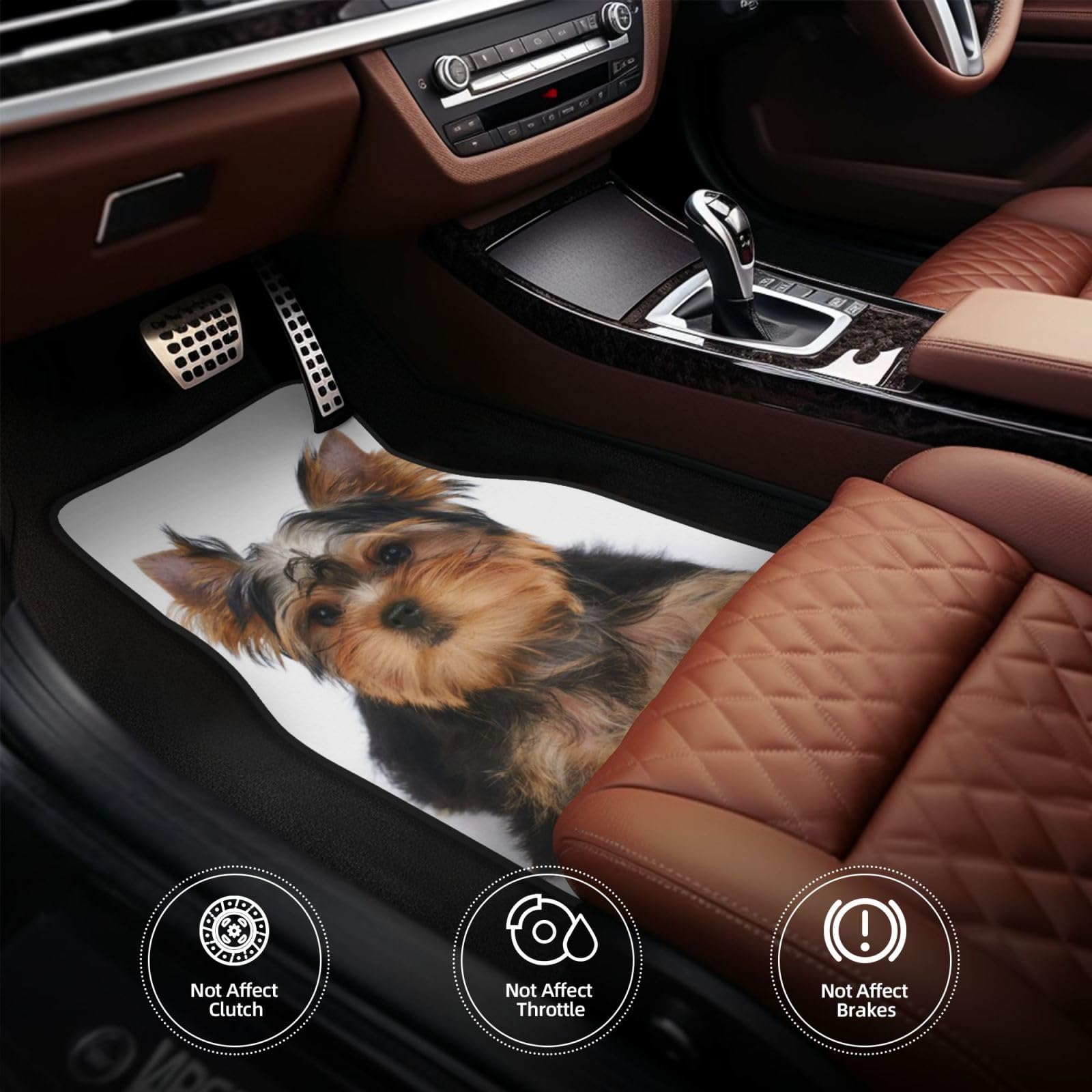 Yorkshire Terrier liegt auf Weiß, 4er-Set Auto-Fußmatten, Neopren-Fußmatten für Fahrzeuge, rutschfeste Auto-Fußmatten, Autozubehör
