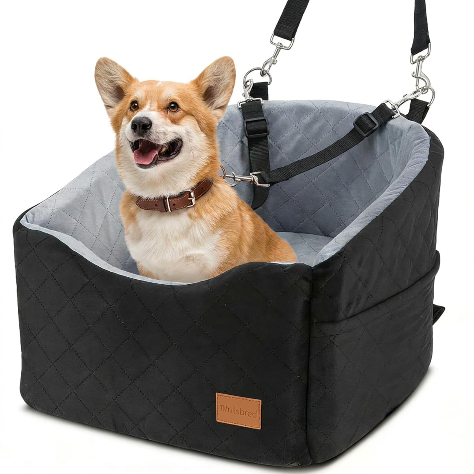 Asiento de Coche de 15 cm de Altura para Perros de hasta 13,6 kg | Inserto para cartón de huevos de 40 x 40 x 15 cm, funda extraíble y lavable, 2 cintas de seguridad, base antideslizante