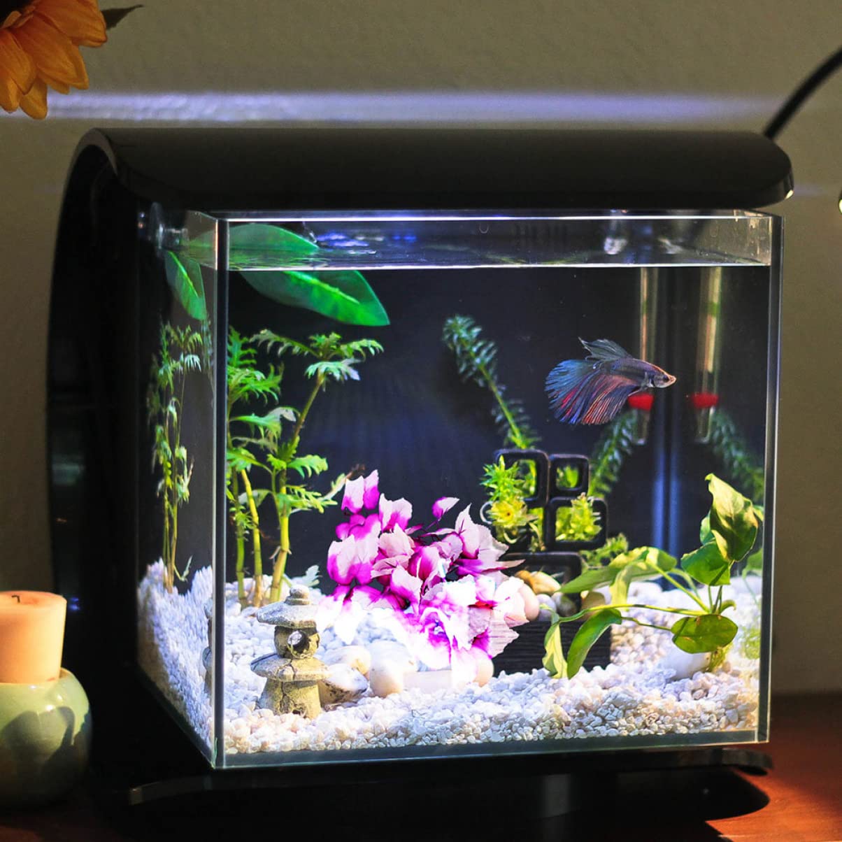Kisangel 3 Ensembles Aménagement Paysager pour Animaux De Compagnie Rotin Reptile Tortue Accessoires Gecko Accessoires Fausse Plante Plante Serpent Cache-Serpent Plantes Décor 2 pièces * 3