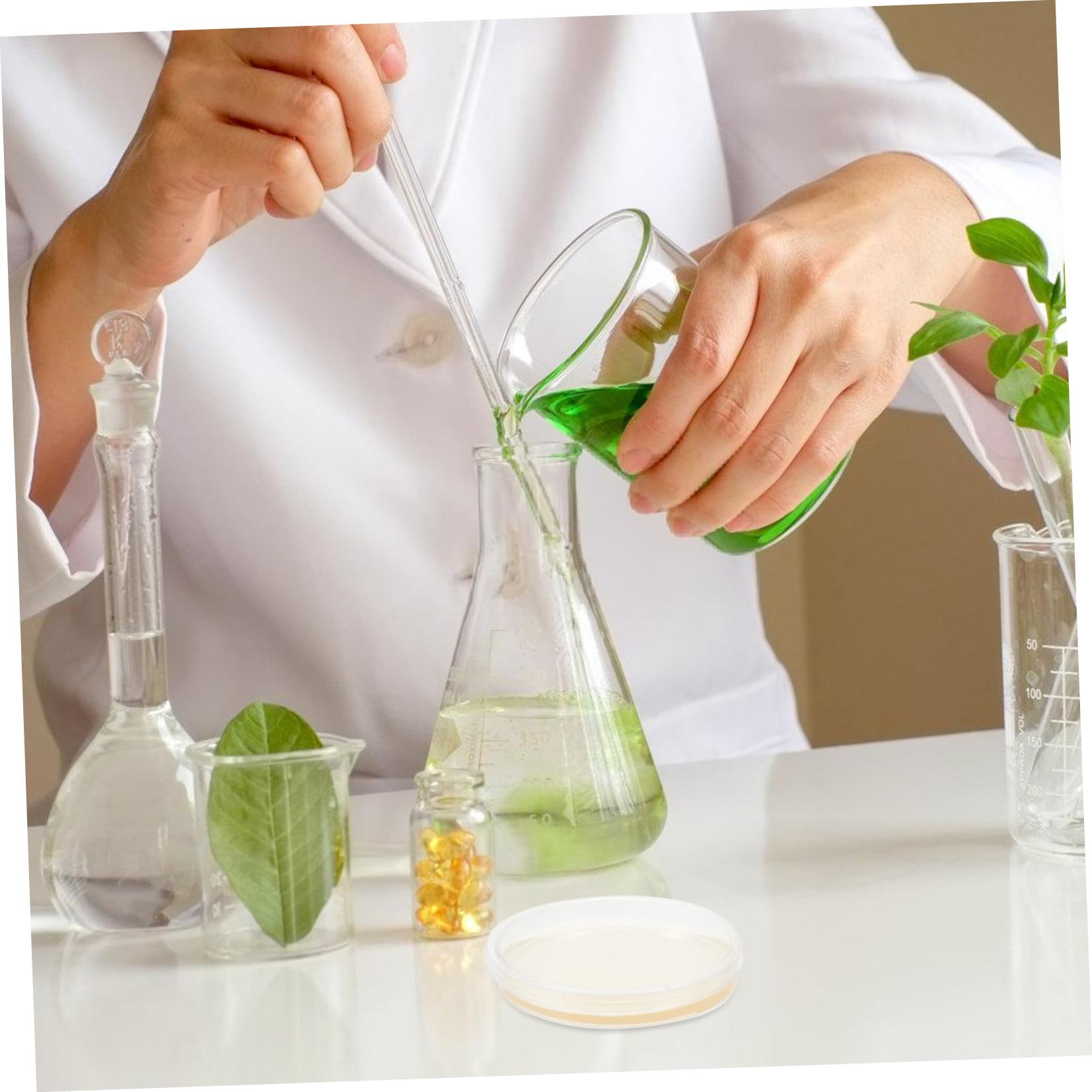 Alipis Piastre di Petri in Plastica Sterili Agar Nutriente Pre-colato, 20 Pezzi, 9cm, per Colture Cellulari e Sperimenti di Laboratorio, Crescita Stabile e Confezione Sterile