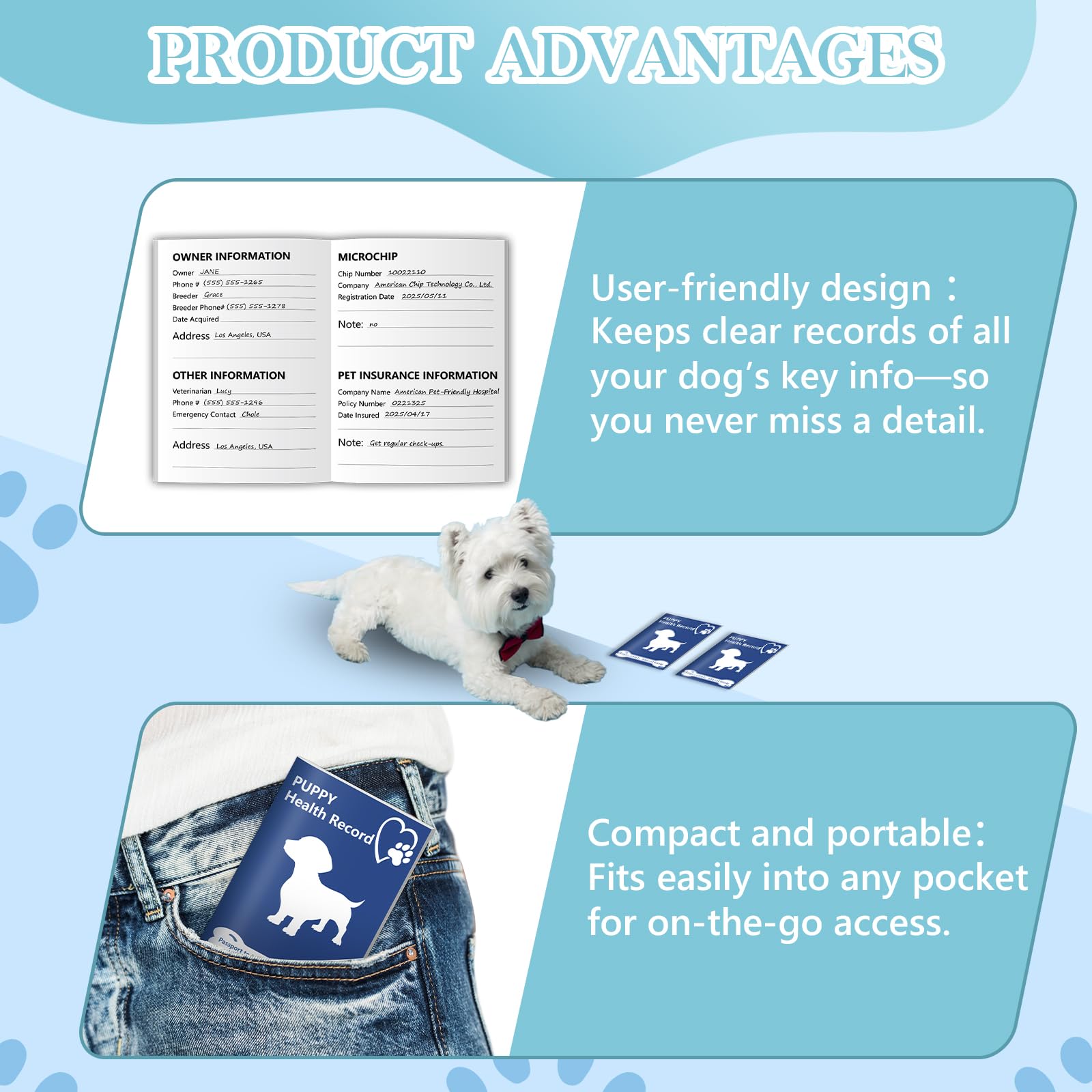 Lot de 10 carnets de vaccination pour chien - 12,7 x 8,9 cm - Carnet d'information pour chien - Carnet médical et de vaccin pour les amoureux des animaux de compagnie - Soins médicaux de toilettage