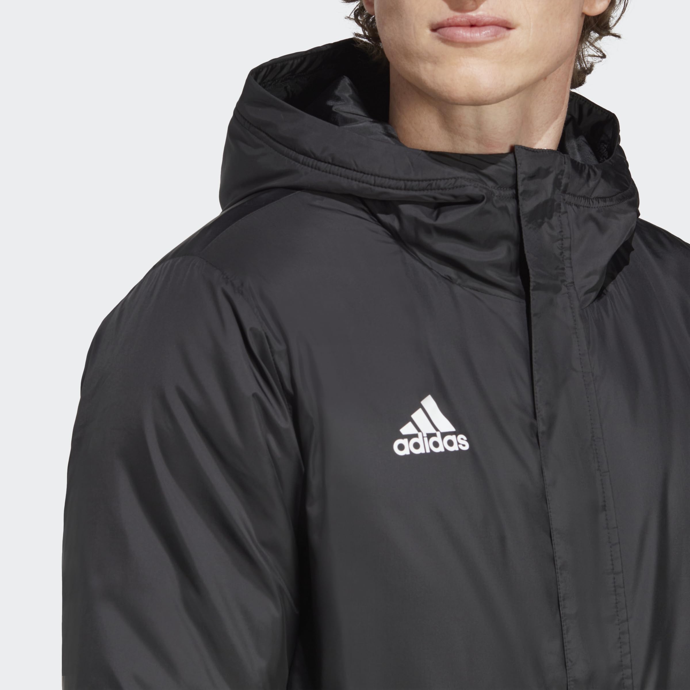 adidas Uomo Entrada 22 Stadium Jacket