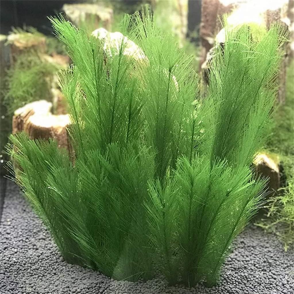 Fish Tank Artificial Aquarium Decoration Green Water Plant Silk Fabric Plastic Made (As Shown One Size)