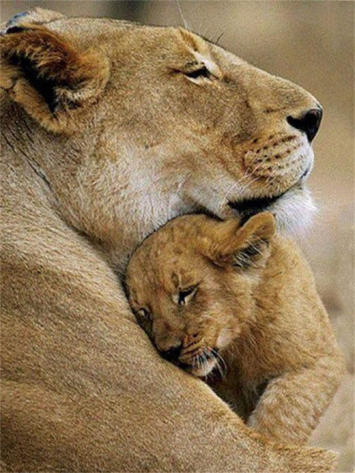 Kit Peinture Au Diamant Lion De La Forêt – Grand Format 80x160cm, Art Diamant Adulte, Déco Salon - 7