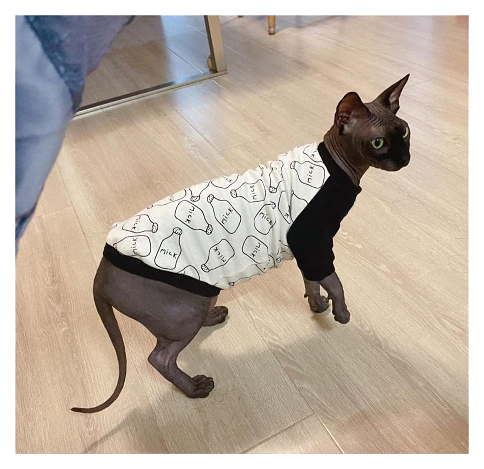 SPHYNX Mao Cat Clothes, wiosenno-letnia koszulka z kotem, Shooter Comfort,Odzież dla kotów(L)