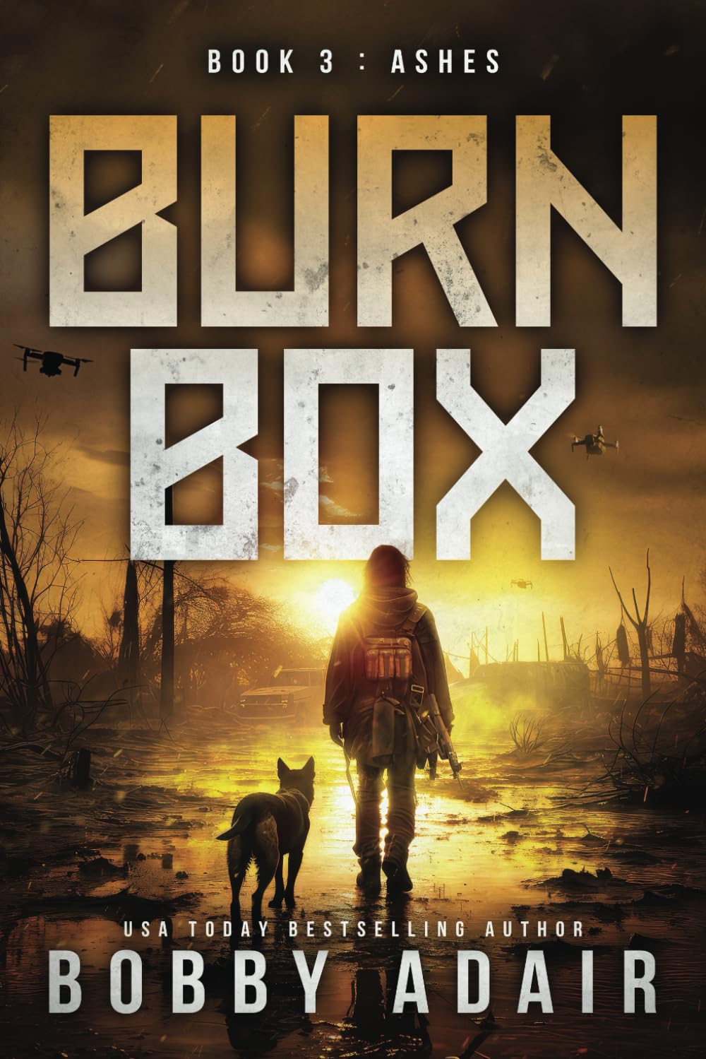 Burn Box: Ashes, Book 3