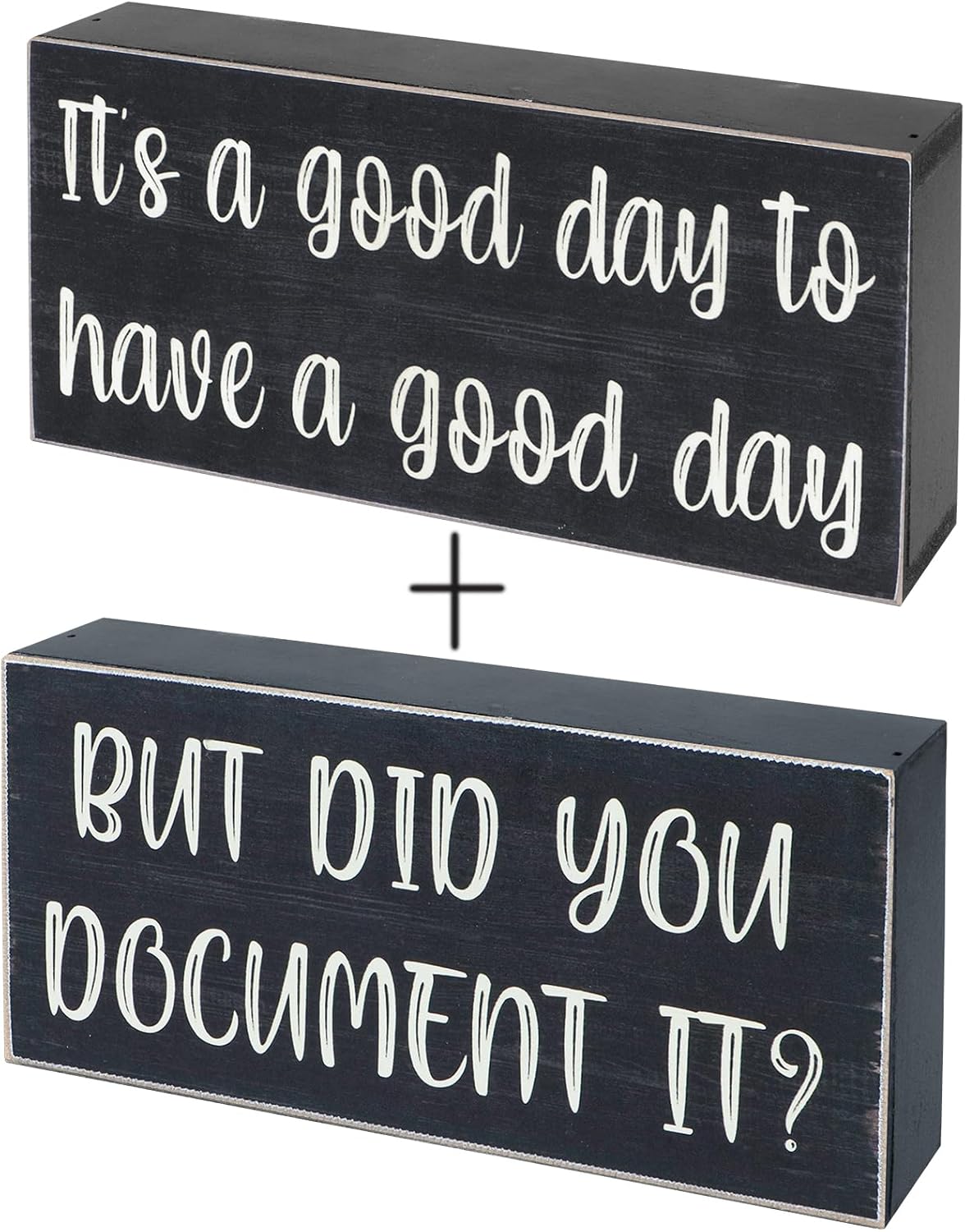 Esur Home Office Cubicle Desk Decor, Motivational Farmhouse Shelf Decorations Wooden Sign, Cute Desk Accessories for Women - It's A Good Day To Have A Good Day+But Did You Document It?