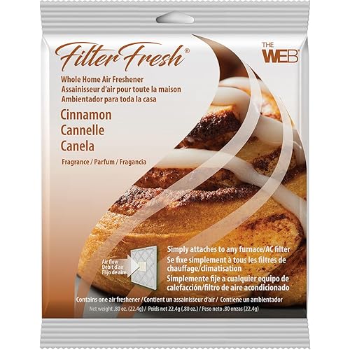 WEB FilterFresh Whole Home Cinnamon Air Freshener 0.8 Ounce (Pack of 1)