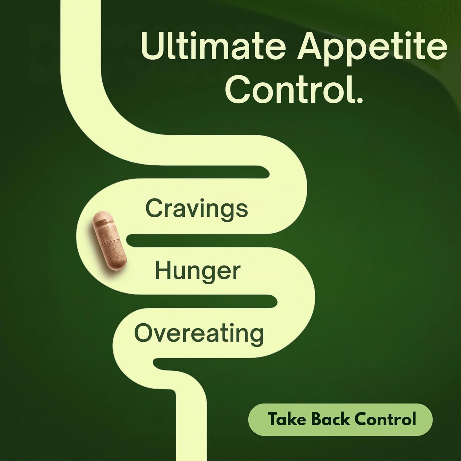 Natural Appetite Suppressant for Women & Men – Non-Stimulant Satiety Support & Holistic Daily Formula. Helps Control Hunger & Curb Cravings Naturally – 60 Veggie Capsules - Image 4